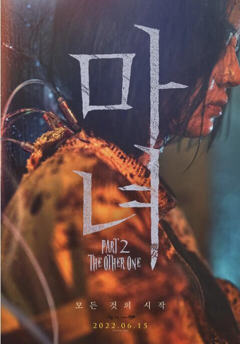 《姐夫的独宠》海报